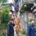 Andi Harun Tinjau Rencana Pembangunan Terowongan Atasi Kemacetan di Sungai Dama