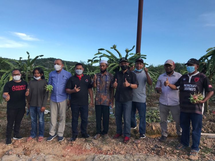 Oleh-oleh Proposal dari Panen Raya Buah Naga, Muhammad Samsun: Kita Pasti Kawal