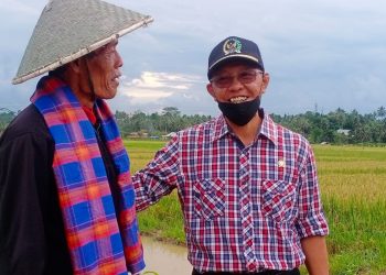 Dahulu Kerap Terdampak Banjir, Kini Samsun Pastikan Lahan Pertanian Dapat Produktif Kembali