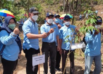 Peringati Hari Habitat Sedunia, Rusmadi Ajak Warga Cintai Keindahan Alam