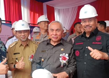 Peresmian Pabrik Smelter Nikel (ist)