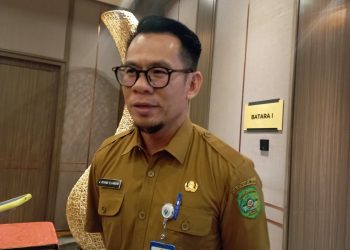 Riyandi Elvander (ist)