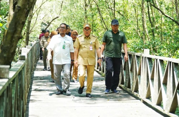 Pj Bupati PPU Akan Hidupkan Kembali Ekowisata Mangrove di Kampung Baru Penajam