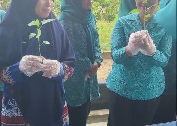 Peringati Hari HKG ke-52, Ketua TP PKK PPU Pimpin Gerakan Tanam Cabai Serentak
