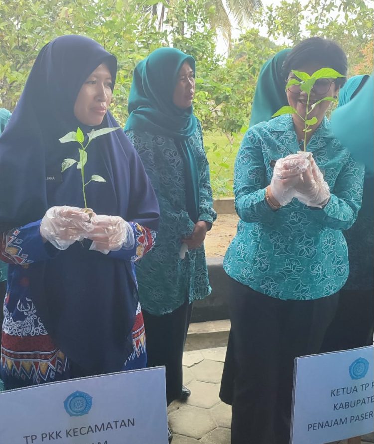 Peringati Hari HKG ke-52, Ketua TP PKK PPU Pimpin Gerakan Tanam Cabai Serentak