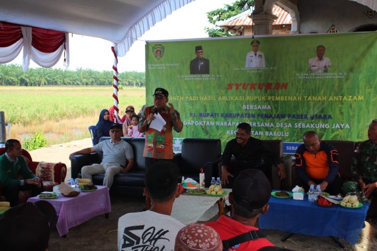 Pj Bupati PPU Makmur Marbun Hadiri Syukuran Panen Raya Padi Kecamatan Babulu