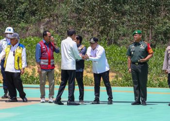 Presiden Jokowi Mendarat di IKN, Disambut Pj Bupati PPU Makmur Marbun