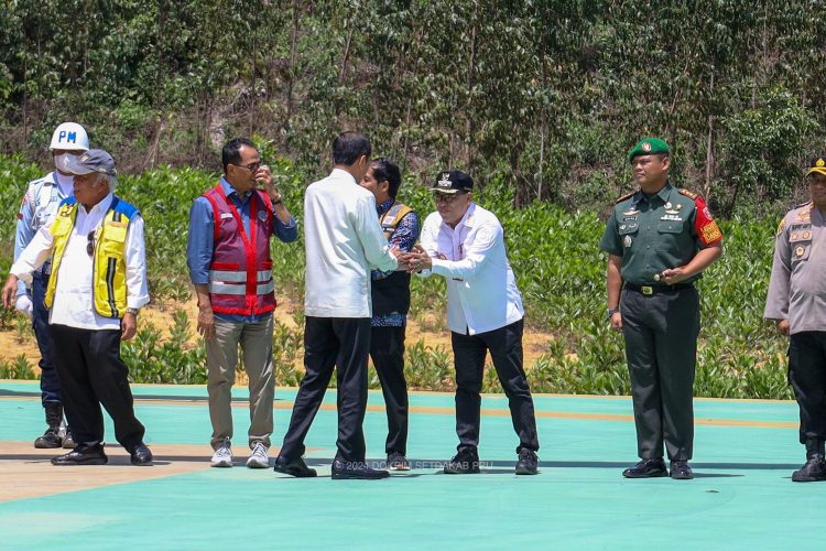 Presiden Jokowi Mendarat di IKN, Disambut Pj Bupati PPU Makmur Marbun