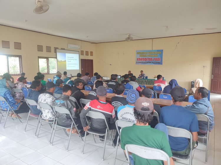 Bapelitbang PPU Gelar Sosialisasi Pertanian untuk Dorong Peningkatan Produktivitas Padi di Babulu