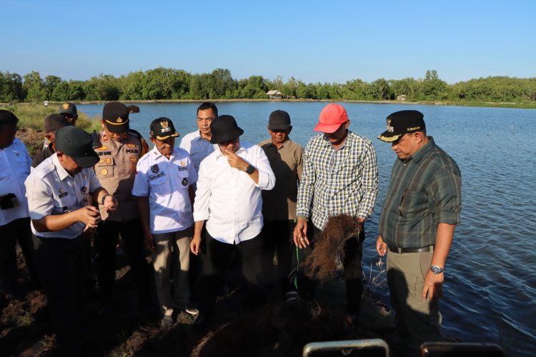Tinjau Potensi Rumput Laut, Pj. Bupati PPU Ajak Petani Kembangkan Produk Olahan