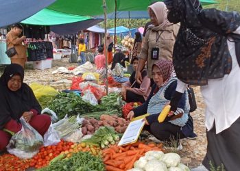 KUKM Perindag PPU Intensif Pantau Harga dan Pasokan, Kendalikan Inflasi