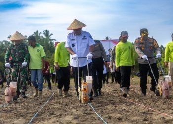 Pj Bupati PPU Bagikan Bibit Gratis untuk 54 Kelurahan dan Desa, Dorong Ketahanan Pangan