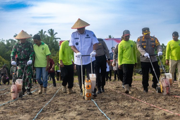 Pj Bupati PPU Bagikan Bibit Gratis untuk 54 Kelurahan dan Desa, Dorong Ketahanan Pangan