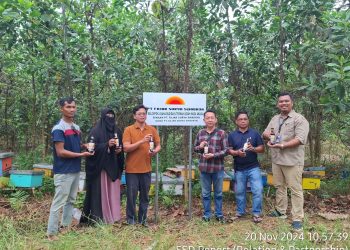 PT. Fajar Surya Swadaya Bina Kelompok Usaha Lebah Madu Akasia Di Kabupaten PPU