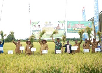 Panen Raya Gapoktan Sri Maju, Bupati PPU Mudyat Noor Dorong Kemandirian Pangan