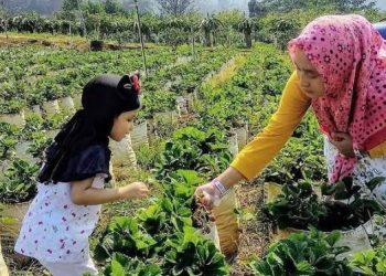 Desa Sumber Sari Kukar Kembangkan Wisata Berbasis Alam dan Edukasi