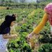 Desa Sumber Sari Kukar Kembangkan Wisata Berbasis Alam dan Edukasi
