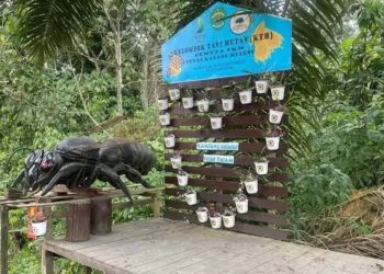 Dari Sarang Kecil ke Harapan Besar, Madu Kelulut Teluk Dalam Siap Menembus Pasar Nasional