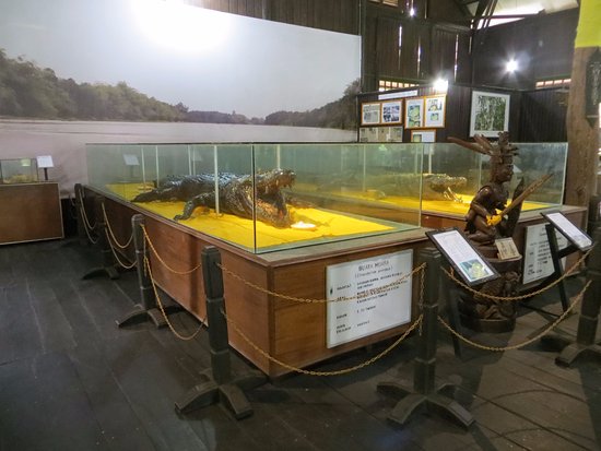 Museum Kayu Tuah Himba Tenggarong Berbenah, Siap Jadi Magnet Wisata Edukasi di Kukar