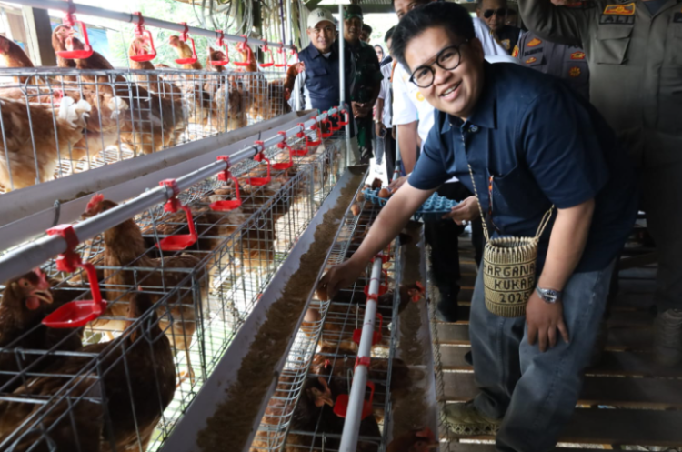 Wabup Rendi Solihin Resmikan Unit Usaha Ayam Petelur BUMDes Batuah, Dorong Kemandirian Ekonomi Desa