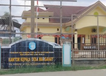 Margahayu Kini Bercahaya, Lampu Tenaga Surya Ubah Wajah Desa di Malam Hari