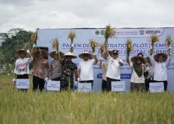 Teknologi Drone Dongkrak Hasil Panen Padi di Tenggarong Hingga 74%