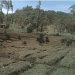 LindungiHutan Buka Lima Lokasi Penanaman Baru, Pangalengan Jadi Titik Reforestasi Jawa Barat