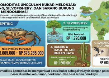 Nilai Komoditas Kukar Melonjak: Kepiting, Silvofishery, dan Sarang Burung Walet Mendominasi