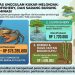 Nilai Komoditas Kukar Melonjak: Kepiting, Silvofishery, dan Sarang Burung Walet Mendominasi