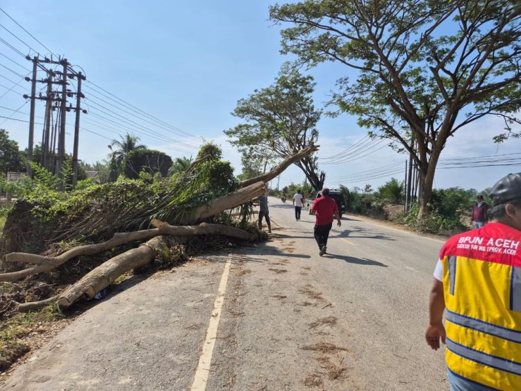 Kementerian PU Pastikan Pemulihan Tujuh Ruas Jalan Utama di Lintas Timur, Barat, dan Tengah Aceh