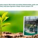 LindungiHutan Luncurkan E-Book “Winning with CSR” untuk Perusahaan Telekomunikasi