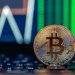 Respon Cepat Bitcoin Terhadap Kebijakan Global, Peluang Pertumbuhan dan Strategi Investasi Cerdas