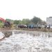Green Aquaculture, Budidaya Tradisional Menuju Sistem Modern