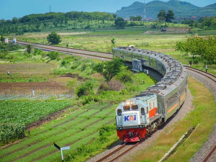KAI Daop 1 Jakarta Catat Enam Kejadian Pohon Tumbang Sepanjang 2025, Seluruhnya Berhasil Ditangani dengan Cepat