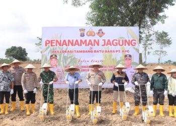 Lahan Eks Tambang Berubah Produktif, Polri Dorong Jagung Jadi Penopang Pangan Kaltim