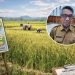 Kunjungi Kaubun, Bupati Kutim Targetkan Perluasan Lahan Padi demi Kemandirian Pangan