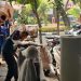 KAI Logistik Pastikan Kesiapan Layanan Hadapi Angkutan Natal dan Tahun Baru 2025/2026