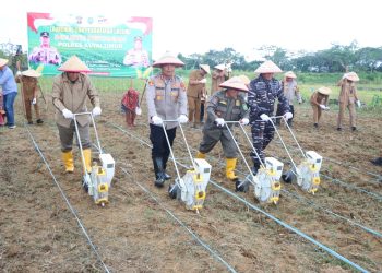 Sinergi Polres Kutim dan KPC Optimalkan Lahan Reklamasi untuk Pertanian Jagung