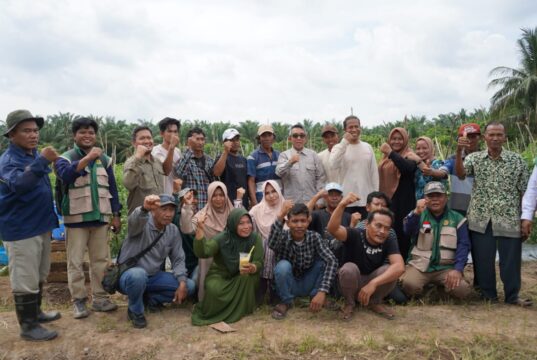 Pertanian Terpadu di Desa Suka Rahmat Perkuat Kemandirian dan Pendapatan Petani