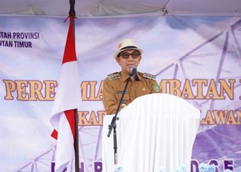 Jembatan Nibung Permudah Transportasi, Warga Tak Lagi Menempuh Jalur Memutar Jauh