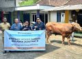 Grup MIND ID Salurkan 1.735 Hewan Kurban Dari Sumatra hingga Papua