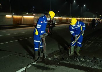 Saatnya Indonesia–India Pererat Hubungan Saling Menguntungkan