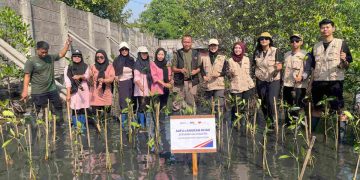 KAI Logistik Lanjutkan Komitmen Keberlanjutan melalui Penanaman 270 Bibit Mangrove