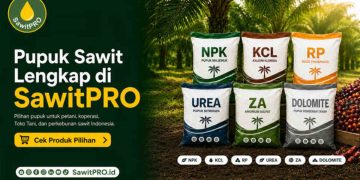 SawitPRO Hadirkan Pilihan Pupuk Sawit Lengkap untuk Kebutuhan Petani dan Perkebunan