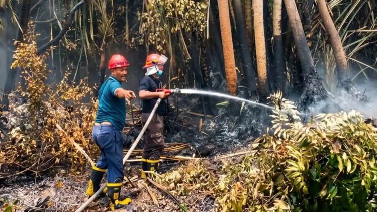 KAI Daop 2 Bandung Hadirkan Stasiun Bandung yang Makin Modern, Nyaman, dan Terintegrasi
