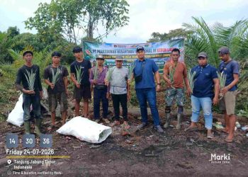PTPN IV PalmCo Salurkan Bibit Nanas untuk Tingkatkan Ekonomi Warga Jambi