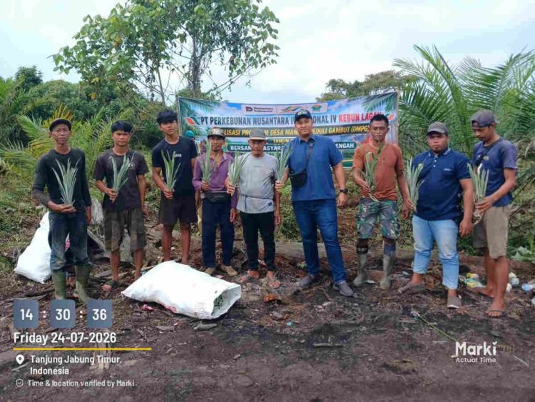 PTPN IV PalmCo Salurkan Bibit Nanas untuk Tingkatkan Ekonomi Warga Jambi