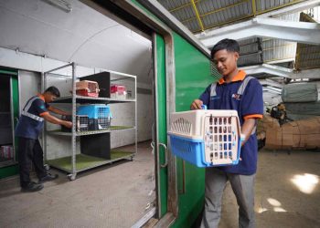 KAI Logistik Layani Lebih dari 138 Ribu Pengiriman Hewan Peliharaan, Tumbuh 19%